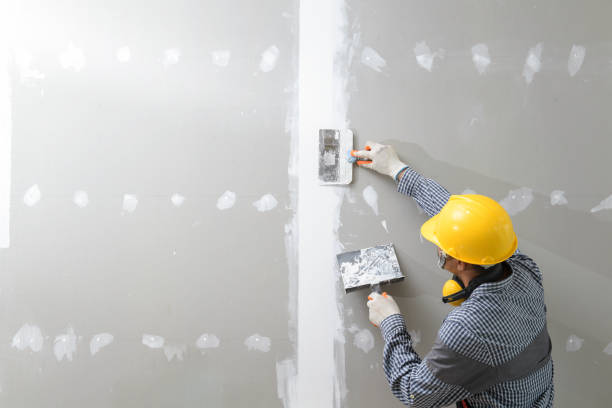 Reliable Walnut Grove, CA Mold Removal Solutions
